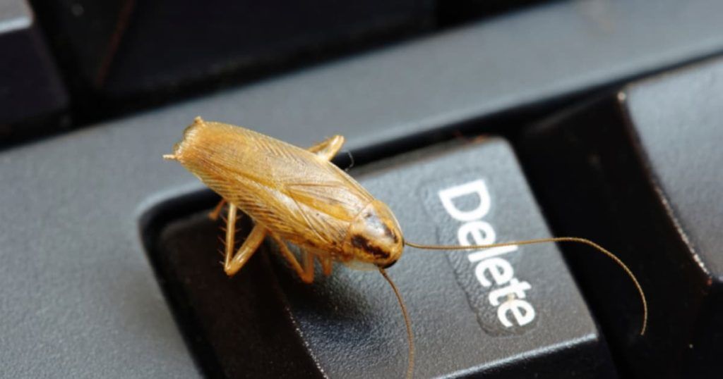 Уничтожение тараканов в офисе в Ангарске